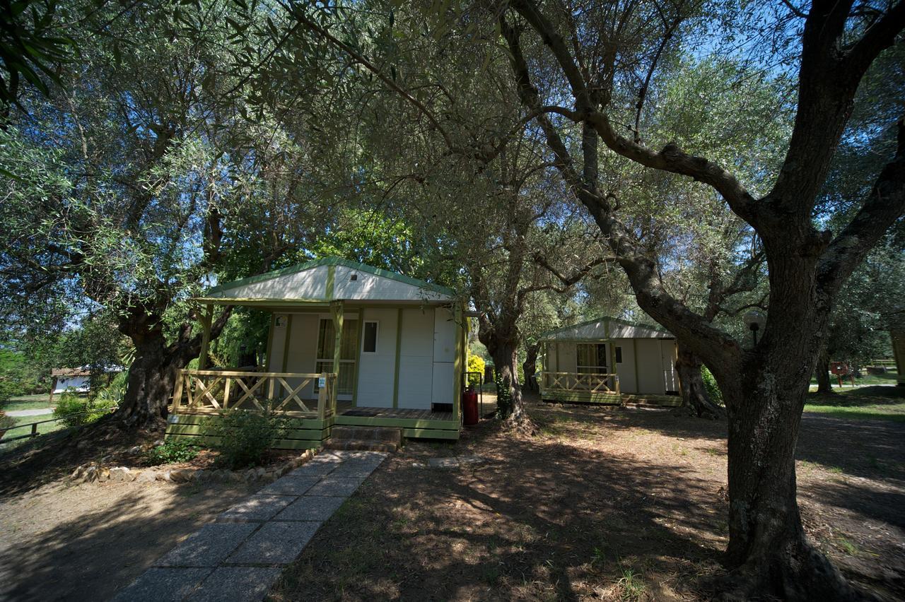 Villaggio Turistico Camping Il Fontino Scarlino Ngoại thất bức ảnh