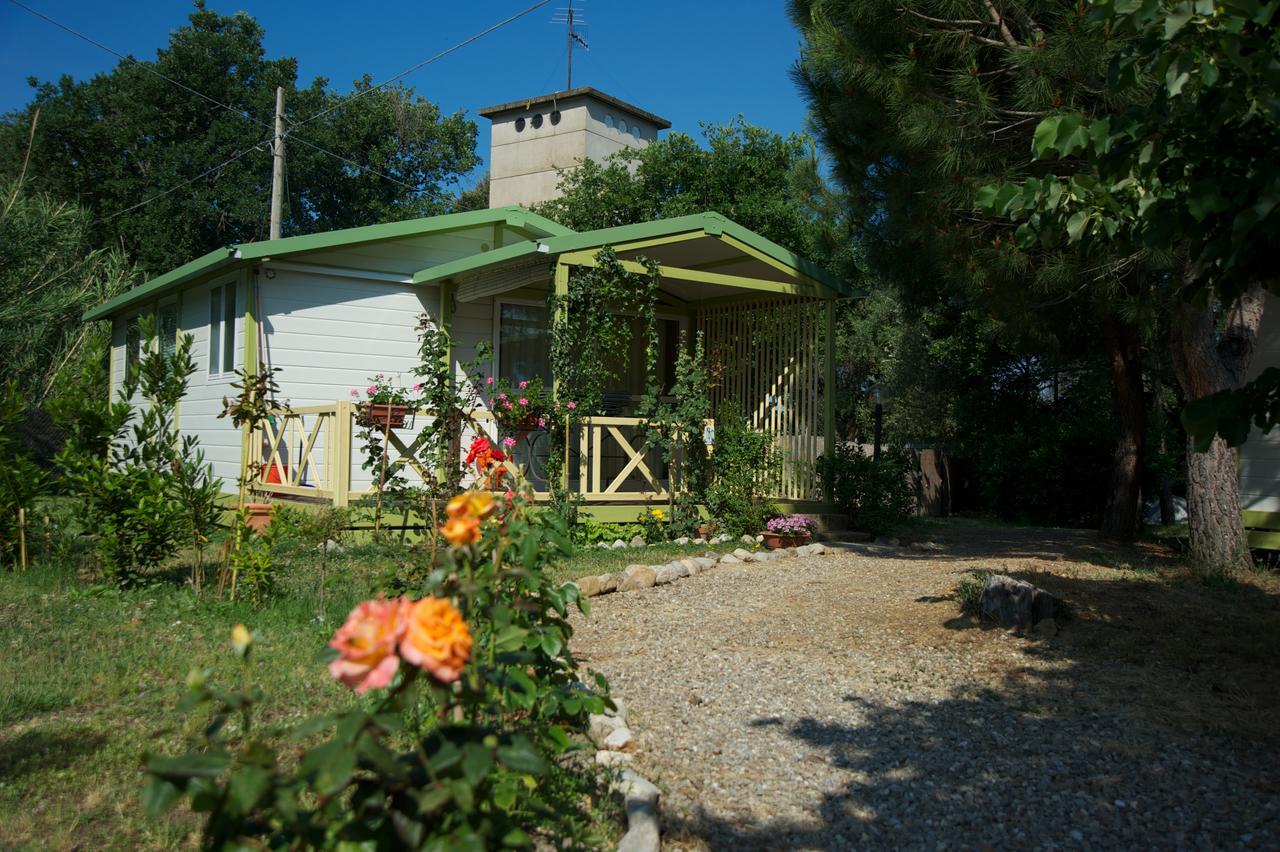 Villaggio Turistico Camping Il Fontino Scarlino Ngoại thất bức ảnh
